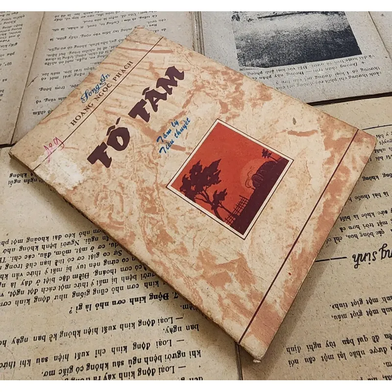 TỐ TÂM - Tiểu thuyết đầu tiên của Việt Nam viết bằng chữ Quốc Ngữ 726800