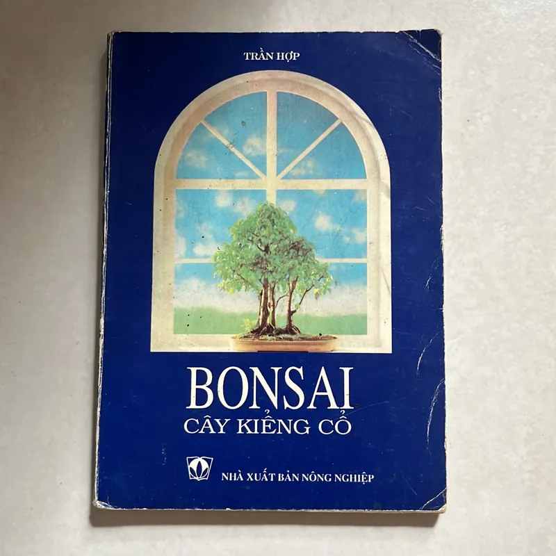 Bonsai cây kiểng cổ - Trần Hợp 567329