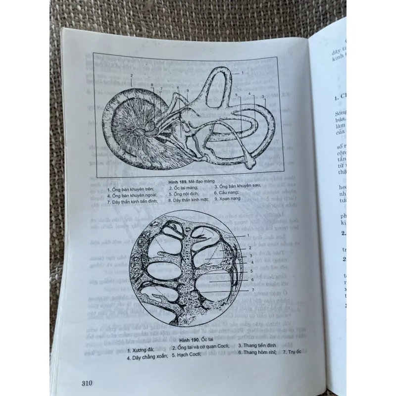 Giải phẫu sinh lý à sách y, khổ lớn; 314 trang  1025091