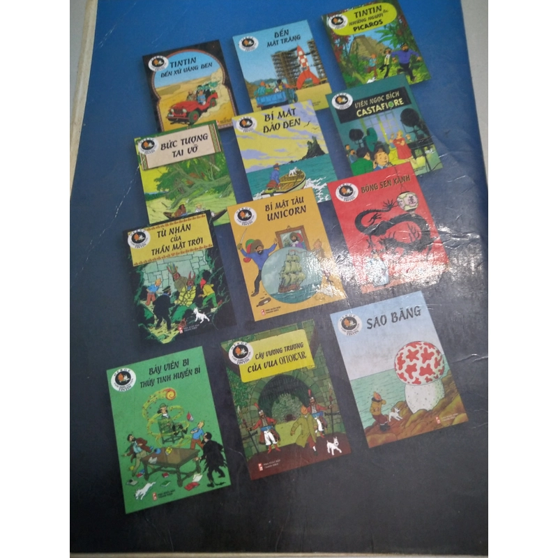 Tintin cá mập vùng hồng hải  502877