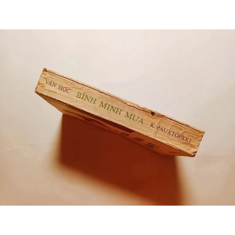 Bình Minh Mưa - K.Pauxtopxki. 748161