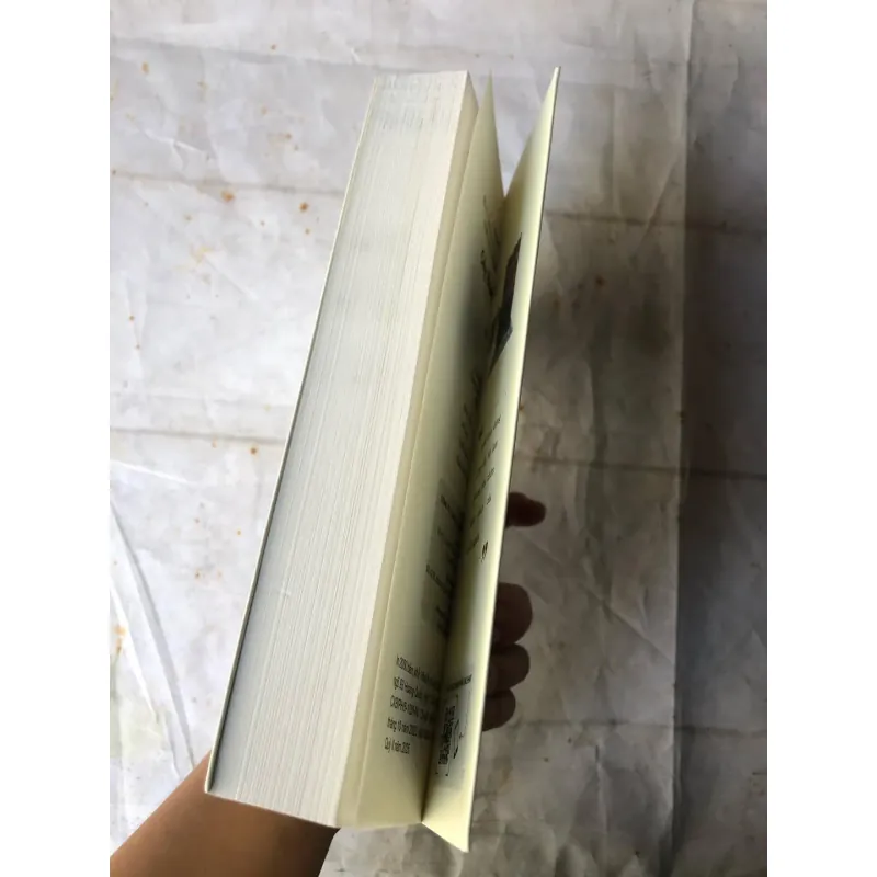 Cây Brooklyn Xanh Biếc - Betty Smith 775844