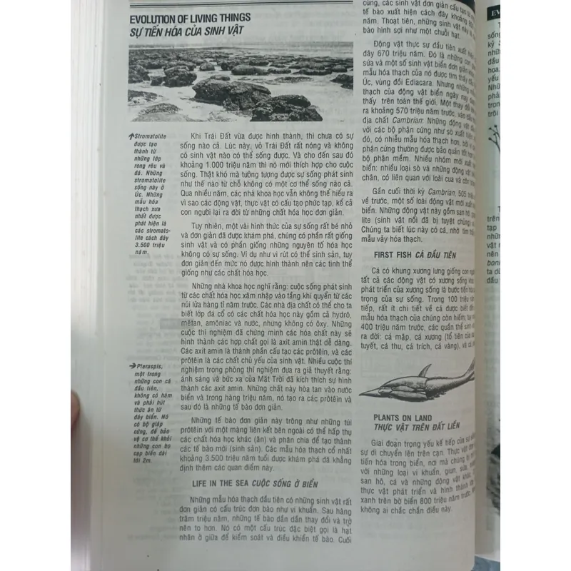 Từ điển bách khoa dành cho thanh thiếu niên 708109