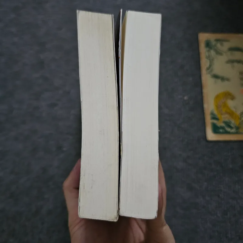 Người đua diều, Ngàn mặt trời rực rỡ 733908