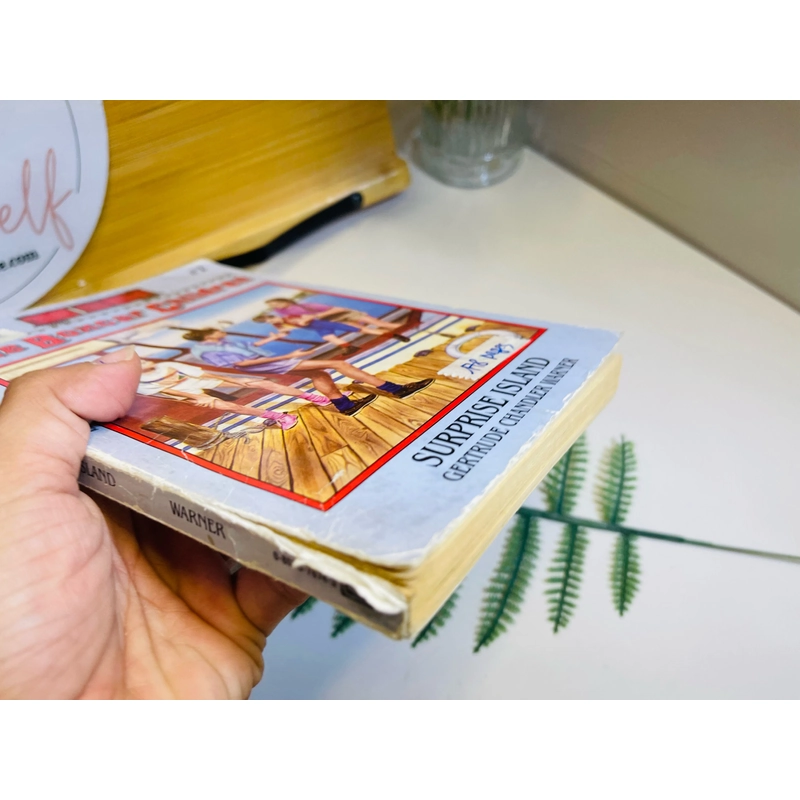 [Sách tiếng Anh 2hand] Like new 90% - The Boxcar Children: Surprise Island 489467