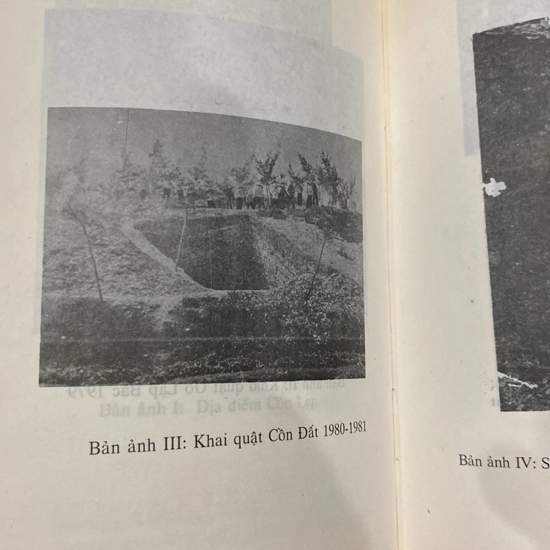 VĂN HÓA QUỲNH VĂN, sách nghiên cứu khảo cổ học Việt Nam (xb 1998) 550418