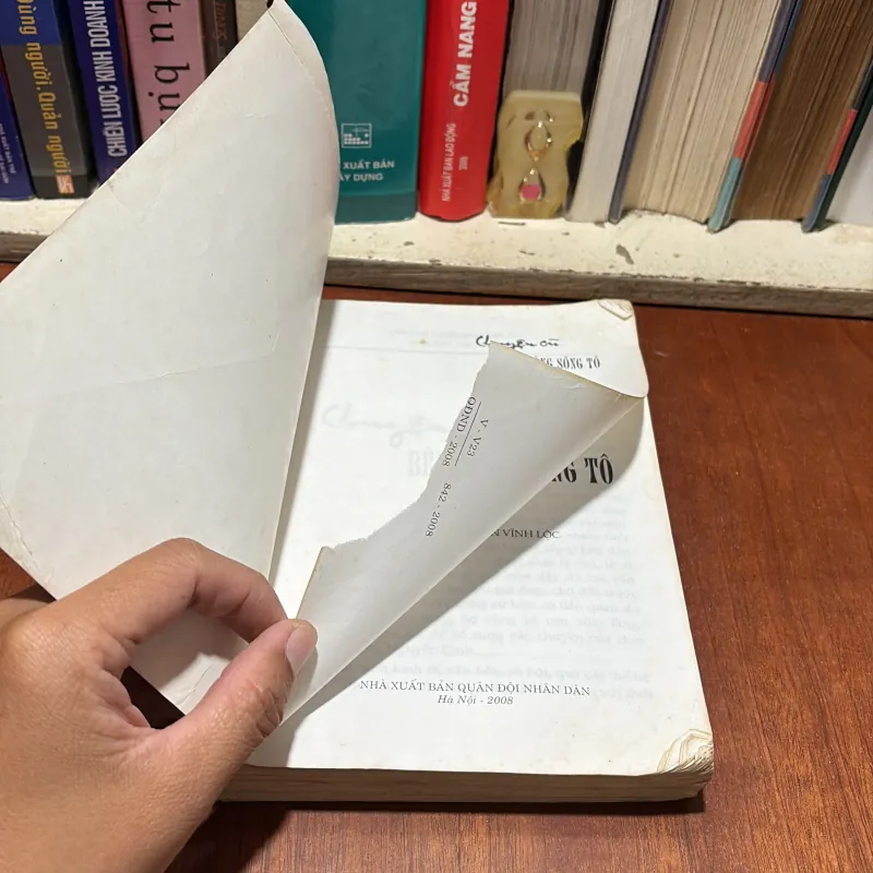 II Truyện Giả Sử: Chuyện Cũ Bên Dòng Sông Tô - Viên Mai - 2008 786253