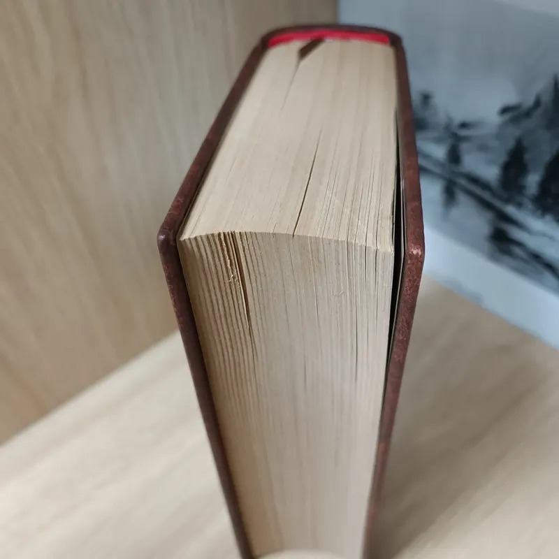 Đầu xanh tuổi trẻ (Dostoievski) 563129