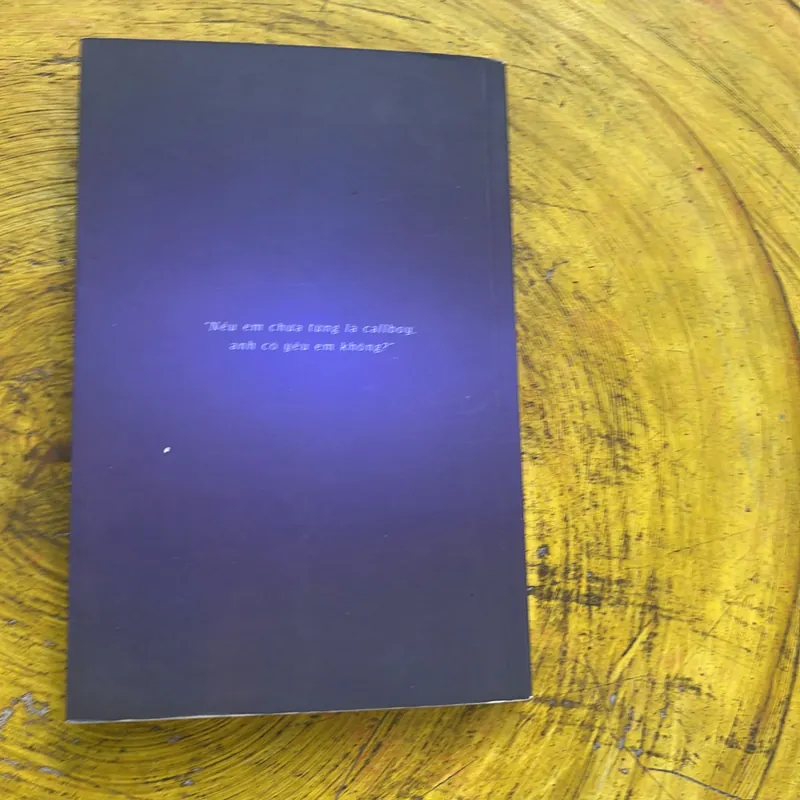 ĐỜI CALLBOY- NGUYỄN NGỌC THẠCH - văn học 2016 738010