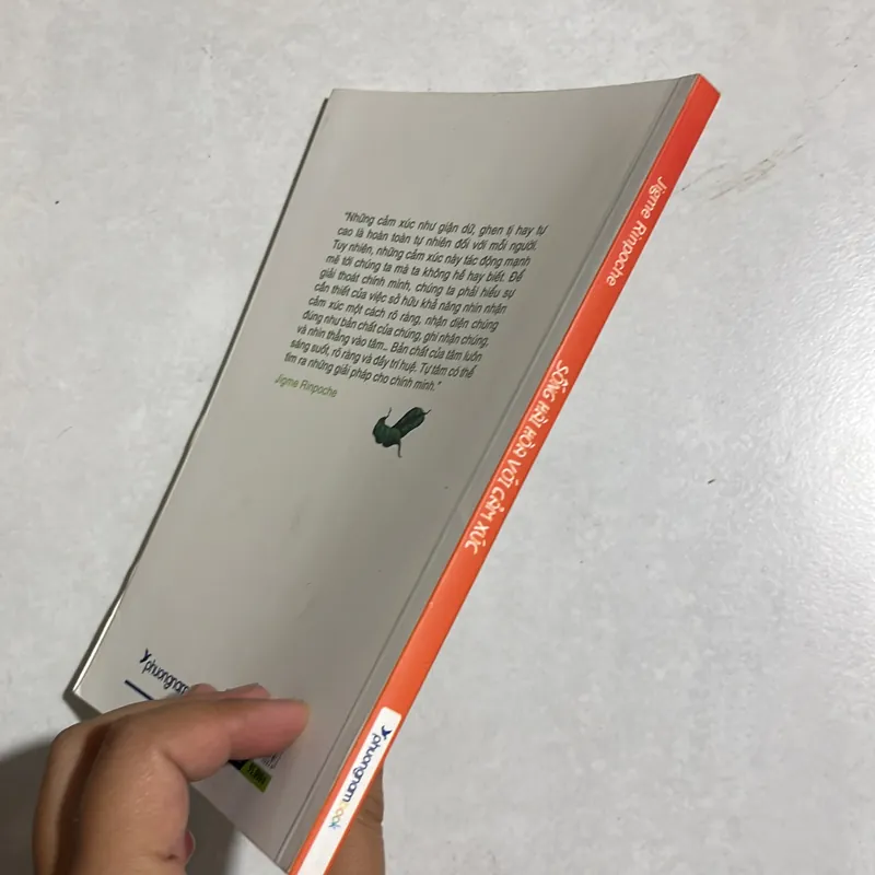 Sống hài hoà với cảm xúc - Jigme Rinpoche 589616