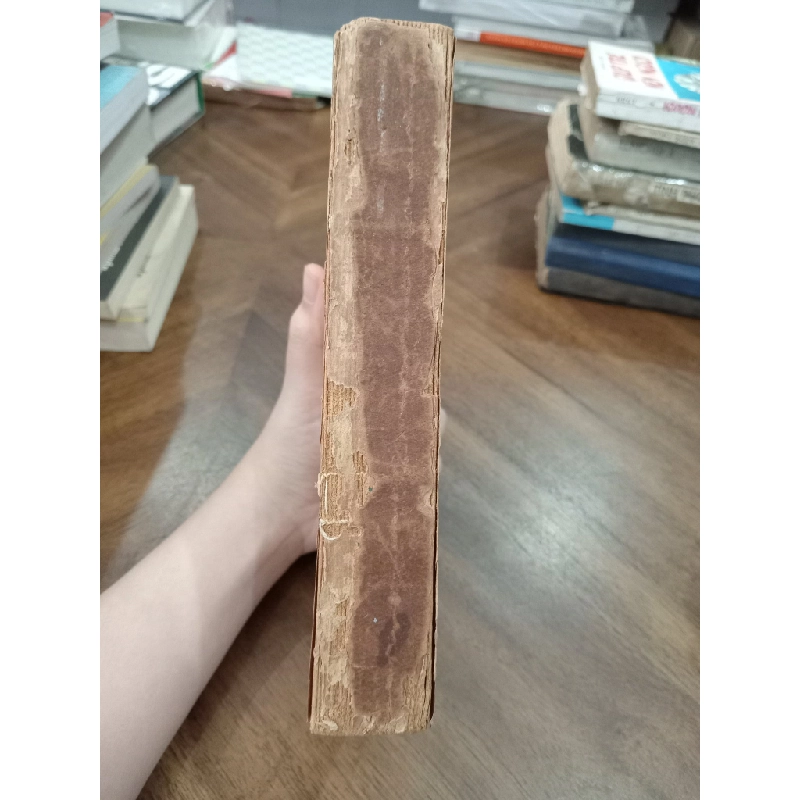 Bình minh mưa - K. Pauxtôpxki (Kim Ân, Mộng Quỳnh dịch) 501719