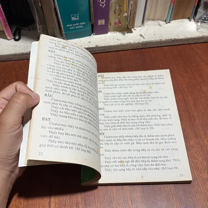 II Sách Huyền Học: Khám Phá Bí Ẩn Của Những Điềm Chiêm Bao - MICHAEL HALBERT (Nguyên Tác) 1013706