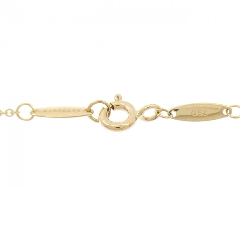 Dây chuyền Tiffany By The Yard - Hàng hiệu Authentic 841556