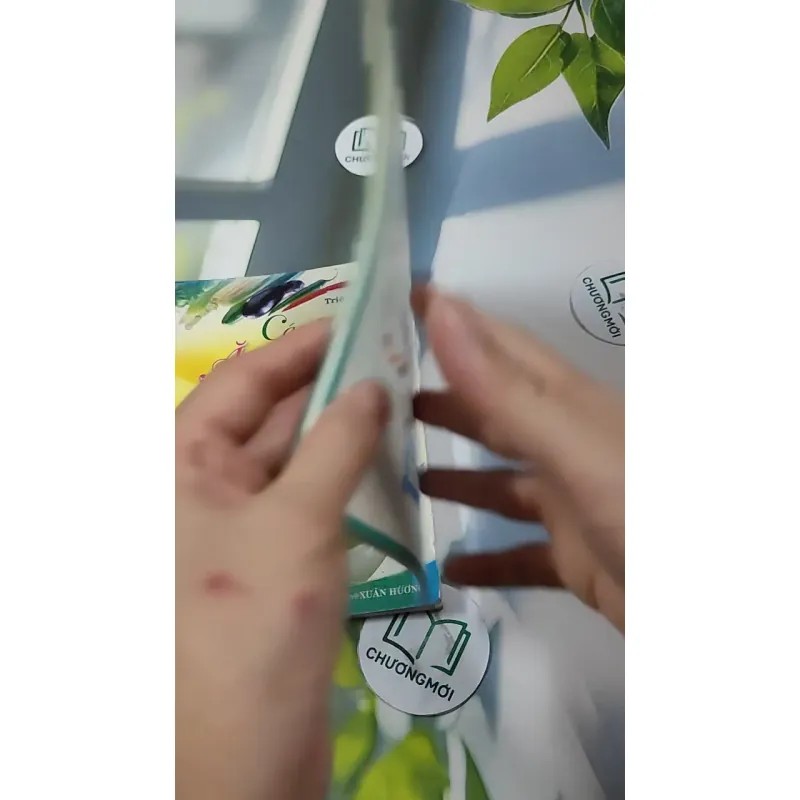 Combo Ẩm Thực: Các Món Chay Ăn Kiêng, Trẻ Khỏe Với Các Món Ăn & Bài Tập 727328