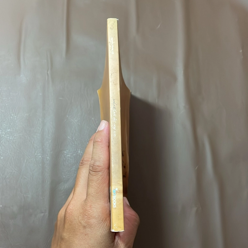 II Tựa sách: Mình Sẽ Đi Cuối Đất Cùng Trời - Nguyễn Phong Việt - 2019 523134