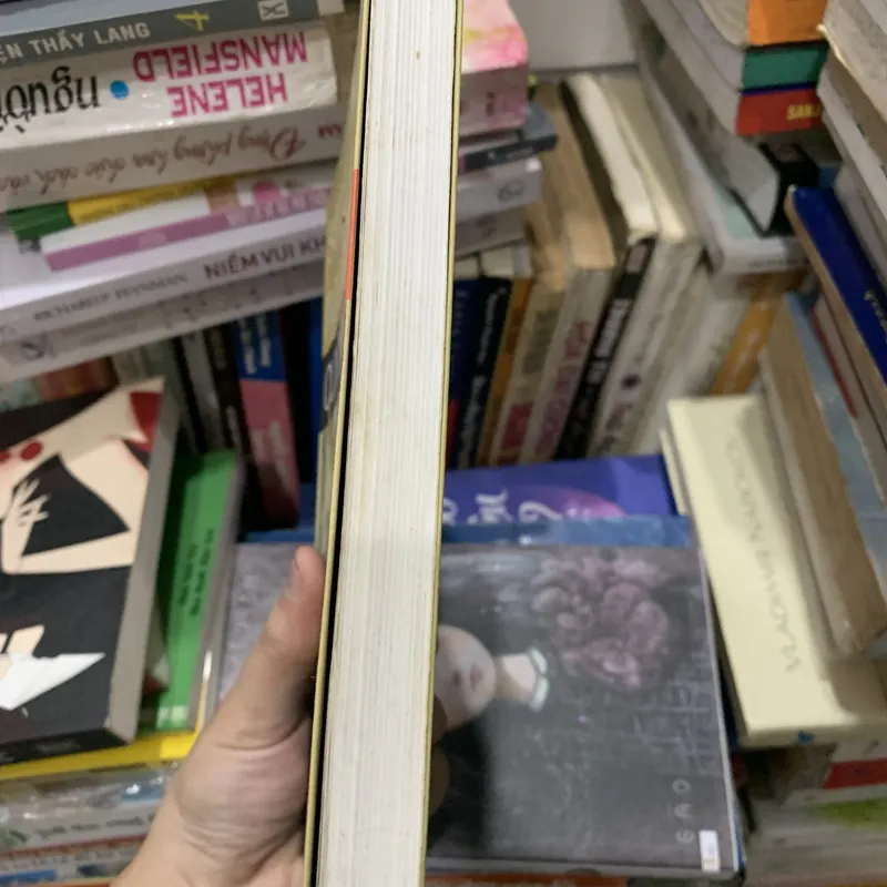 Quỳnh Dao -Song ngoại 720738