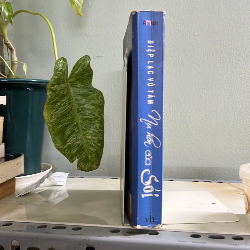 Nụ hôn của sói - Diệp Lạc Vô Tâm 755586