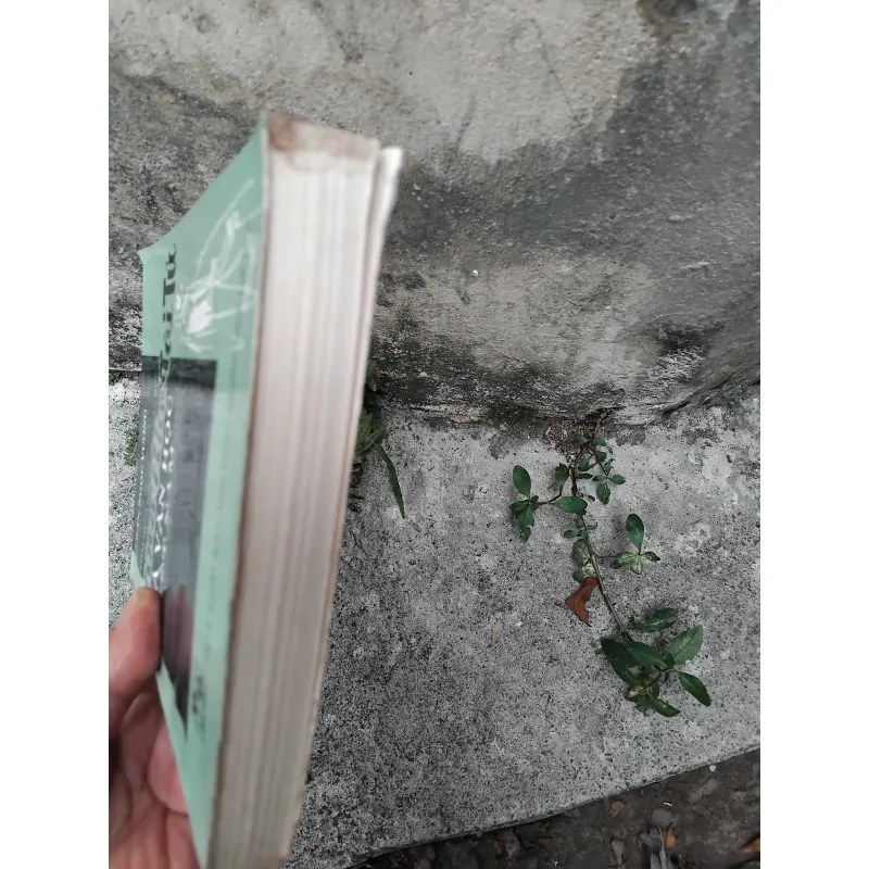 Nhà nho tài tử và văn học Việt Nam GS Trần Ngọc Vương  1036730