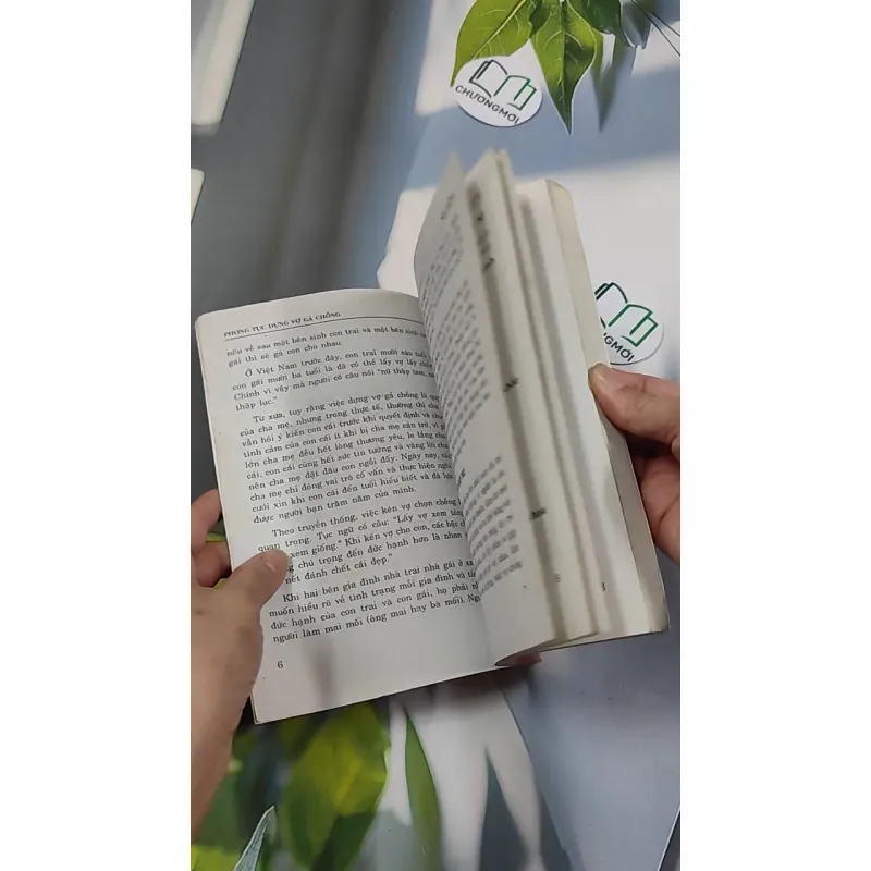 Phong Tục Dựng Vợ Gả Chồng - Như Hùng 776135