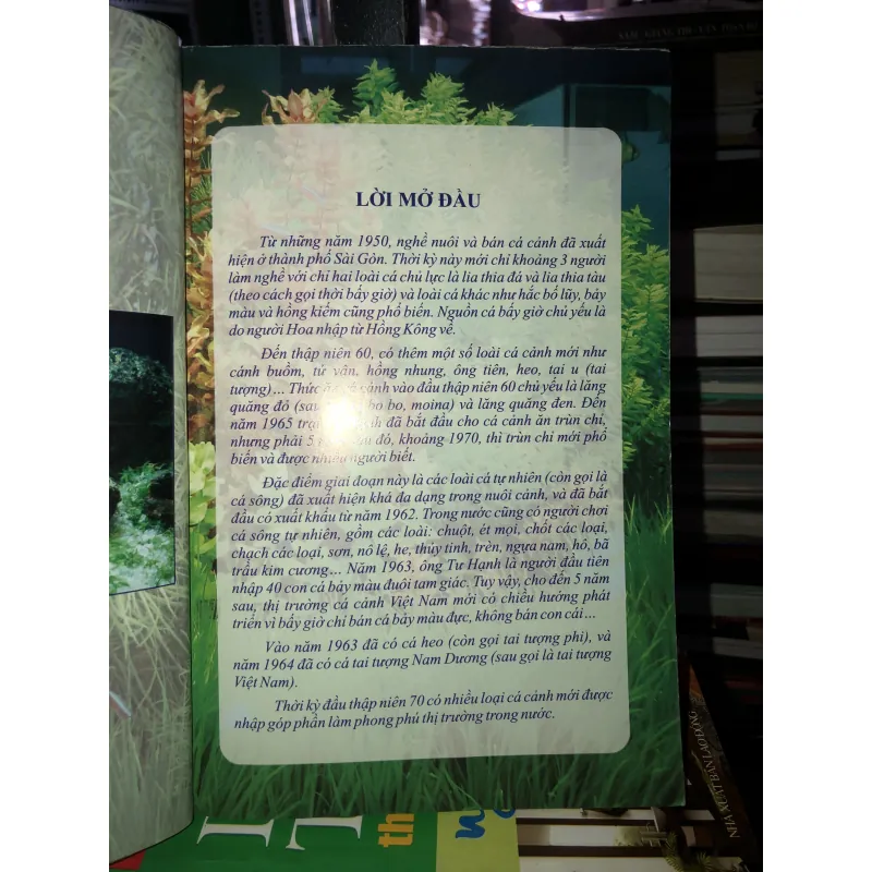 Kỹ thuật nuôi cá chép Koi - cá xiêm - cá rồng - cá dĩa - cá vàng - cá bảy màu 745842