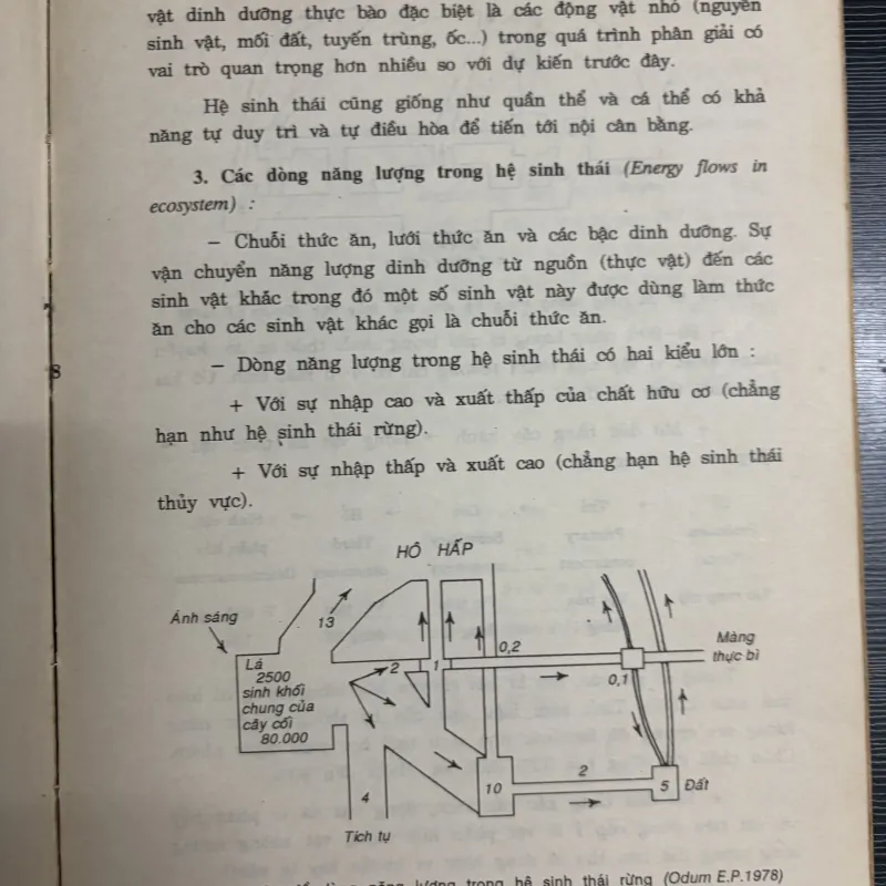 Sinh thái và môi trường 925697