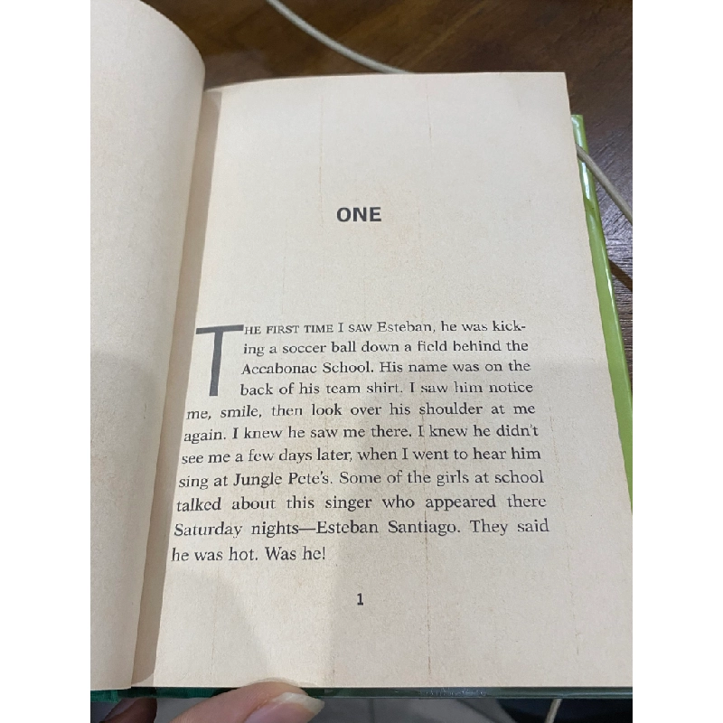 Someone Like Summer - M. E. Kerr 505468