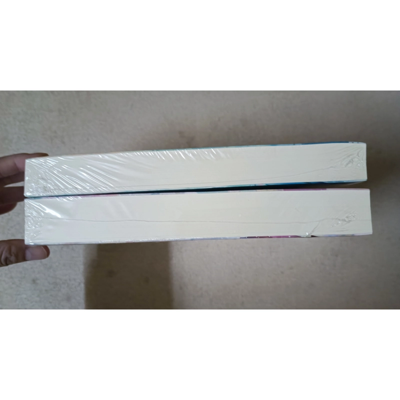 Combo đầu xuân tươi sáng seal 462985