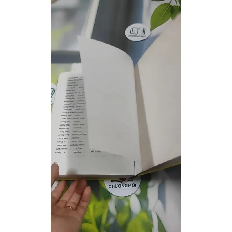 Từ Điển Sinh Học (Anh - Việt & Việt - Anh) - Cung Kim Tiến 727388