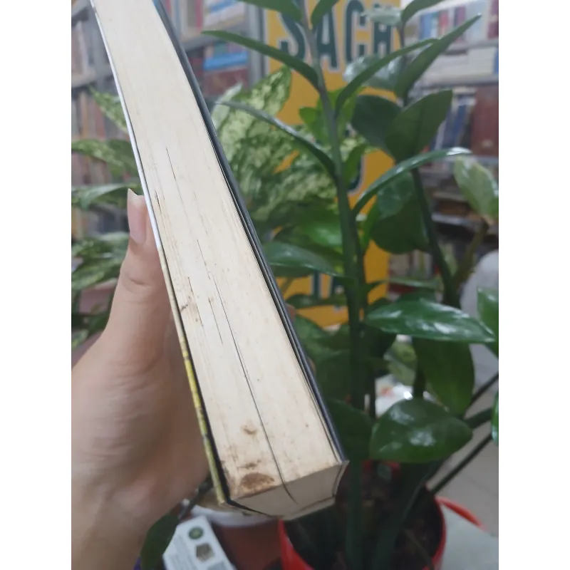 THỜI XA VẮNG - LÊ LỰU 1033457