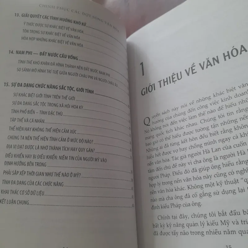 Fons Trompennaars, Charles Hampden, Turner - CHINH PHỤC CÁC ĐỢT SÓNG VĂN HÓA 778807