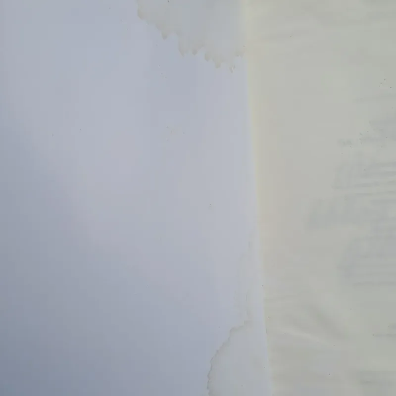 Khi tài năng không theo kịp giấc mơ - Mèo Maverick (tản văn) 731561