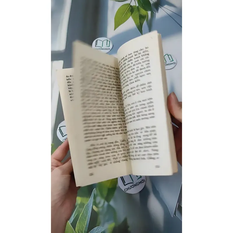 [MIỄN PHÍ BỌC SÁCH] [XƯA] Mê Lộ (1989) - Phạm Thị Hoài 997663