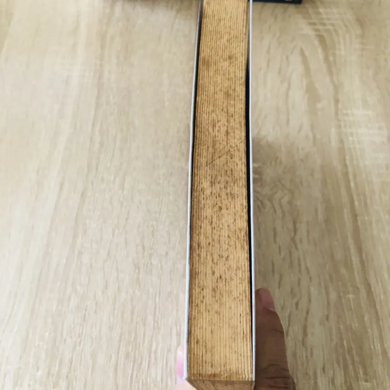 CON ĐƯỜNG STEVE JOBS lãnh đạo cách Tân cho thế hệ mới  1004014