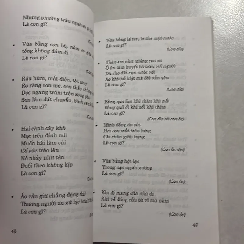 Câu đố dân gian Việt Nam 727031