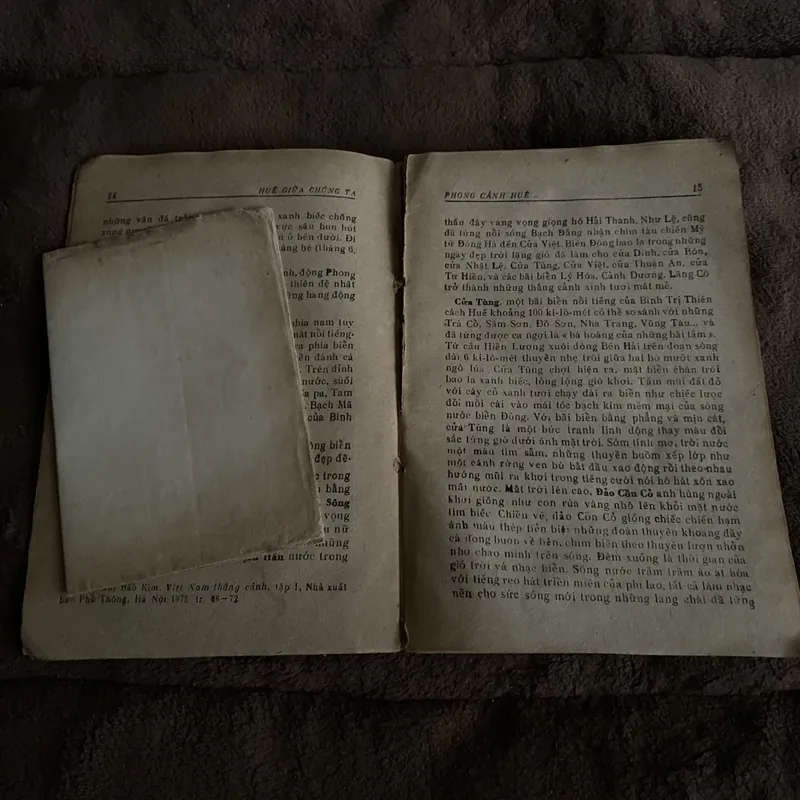 Huế giữa chúng ta 674737