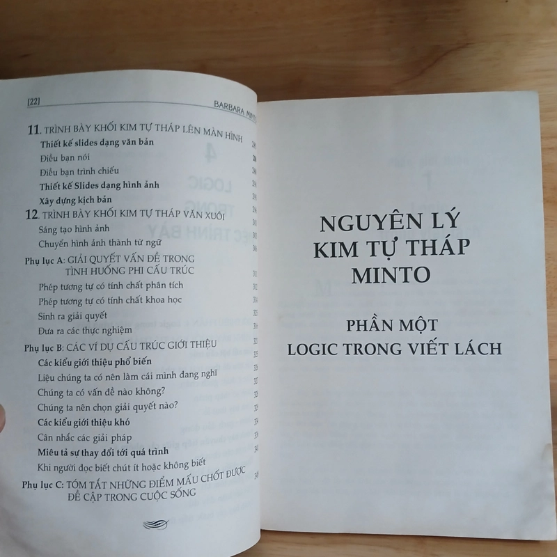 Nguyên Lý Kim Tự Tháp Minto - Babara Minto 477804