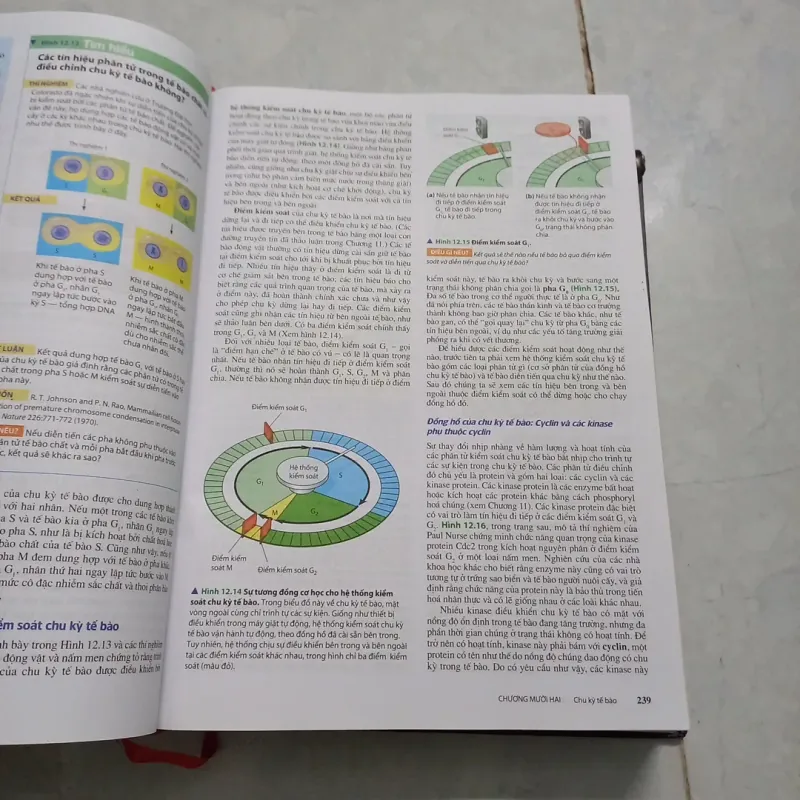 Sinh học Campbell 972269