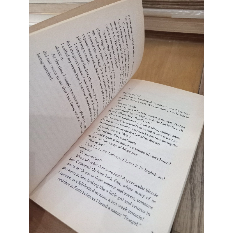 Stargirl - Jerry Spinelli 1024522