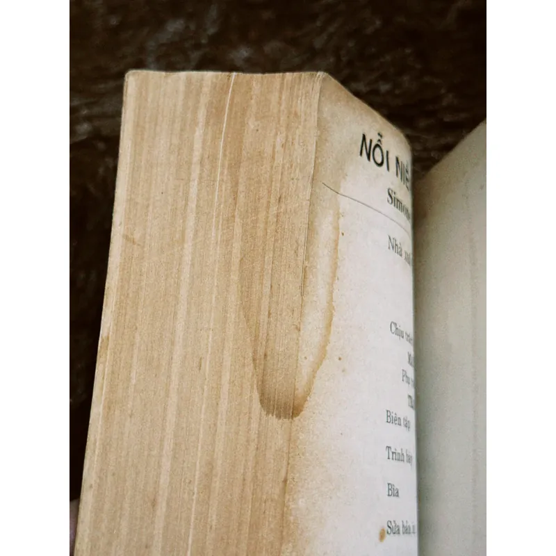 Simone de beauvoir - Nỗi niềm kẻ bất tử  698387