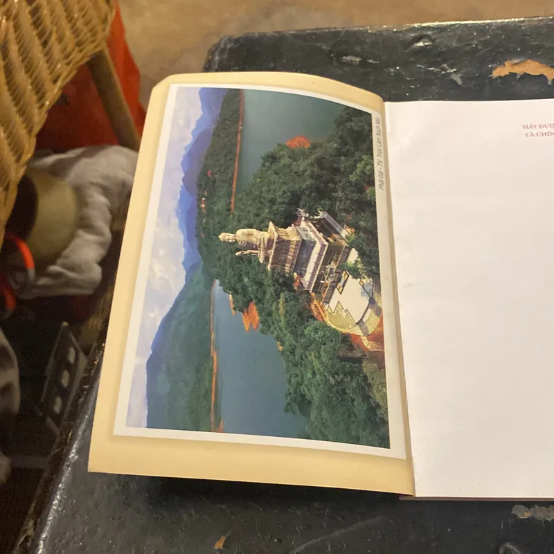 Hãy Được Sống Là Chính Mình- Thích tâm Hạnh 689656