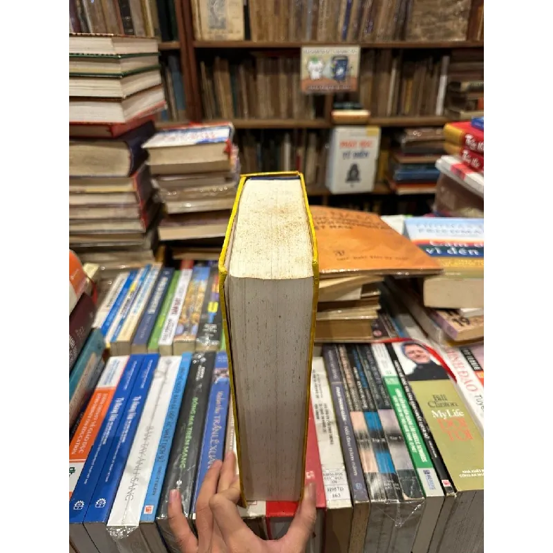 Việt Sử cương mục thiết yếu - Đặng Xuân Bảng 629008