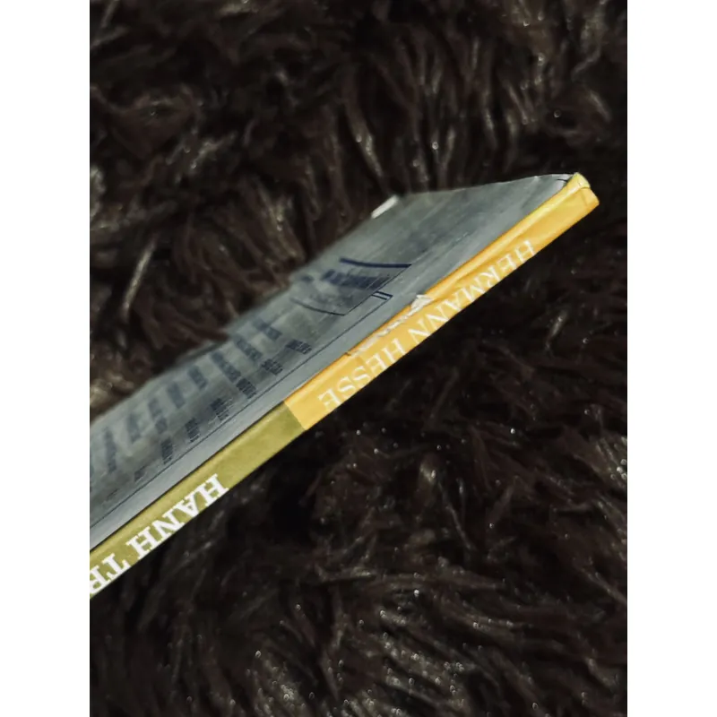 Combo 4 tác phẩm Hermann Hesse 738235