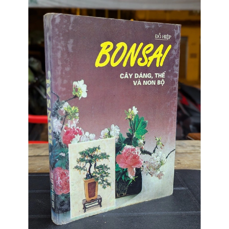 BONSAI CÂY DÁNG THẾ VÀ NON BỘ - ĐỖ HIỆP 300021