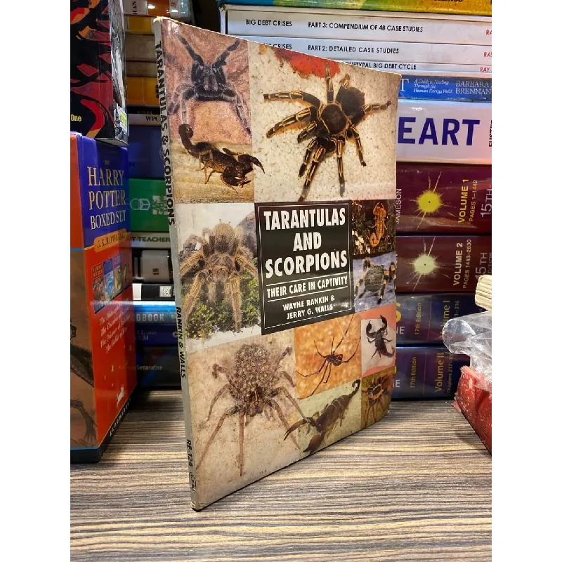 Tarantulas and Scorpions - Waybe Rankin 726819