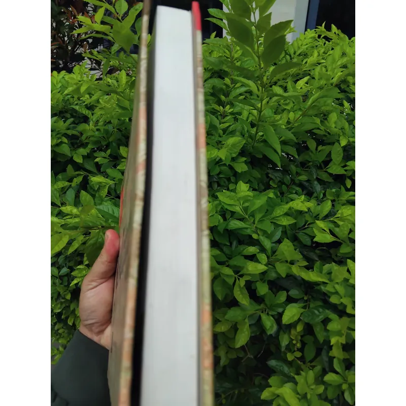 Trang phục triều Lê - Trịnh của Trịnh Quang Vũ 971396