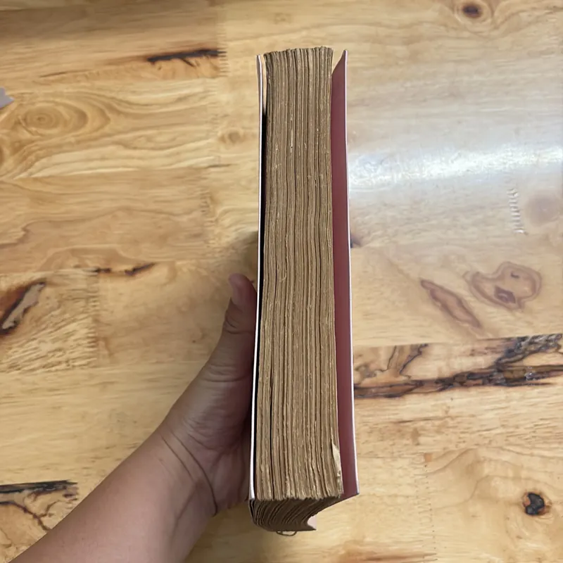 II Tựa sách: Những Ngày Giữ Lửa - Đà Nẵng - 1997 686723