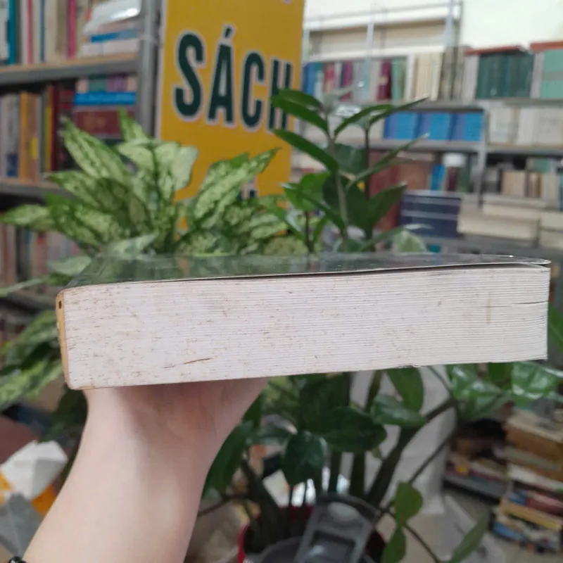 NHỮNG DI CHỈ CỦA KÝ ỨC - PIERRE NORA 1035913