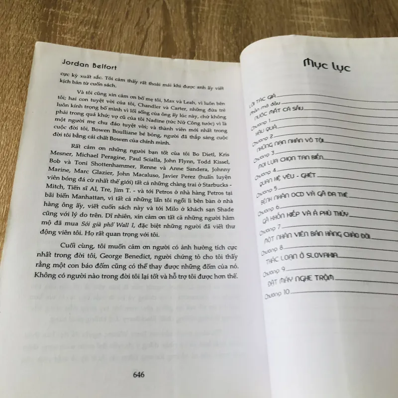 SÓI GIÀ PHỐ WALL 1022316