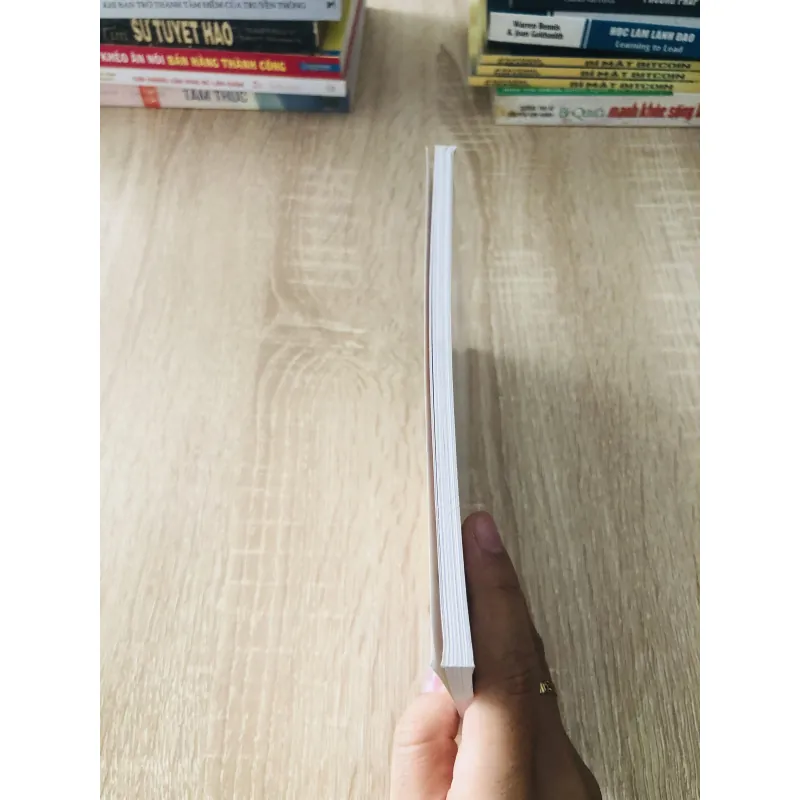 LƯỢC TRUYỆN ĐỨC PHẬT THÍCH CA 1022543