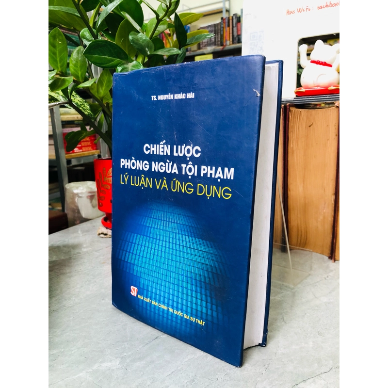 CHIẾN LƯỢC PHÒNG NGỪA TỘI PHẠM LÝ LUẬN VÀ ỨNG DỤNG 383956